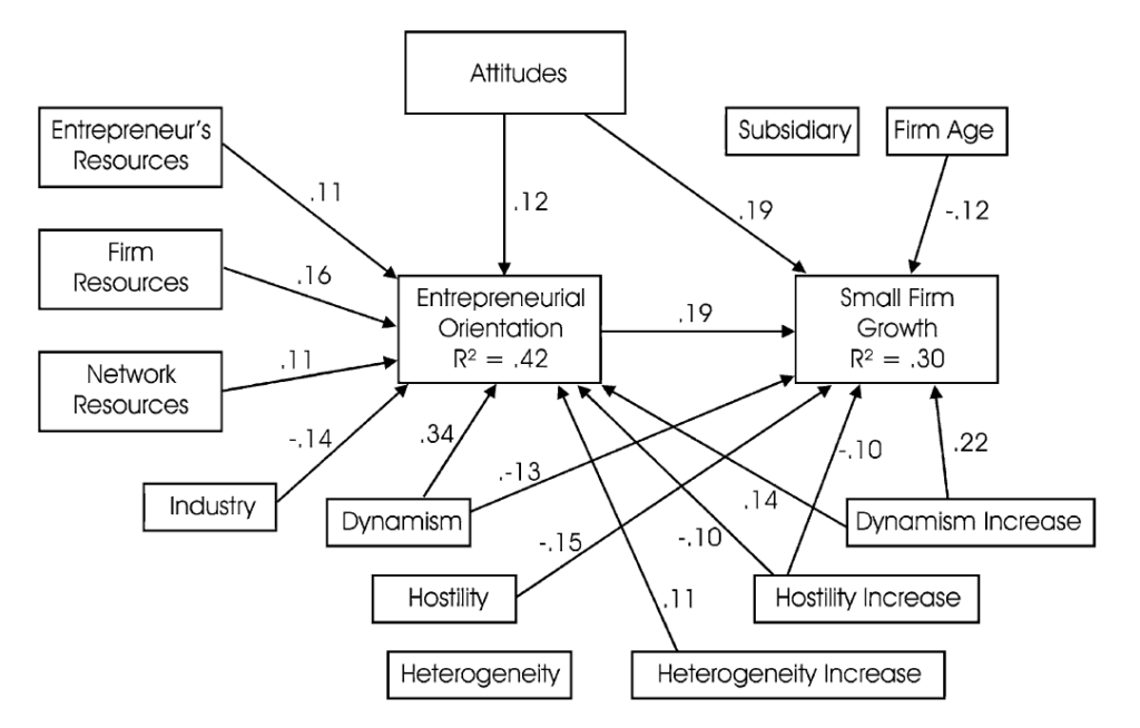 Model of entrepreneurial orientation and firm growth.